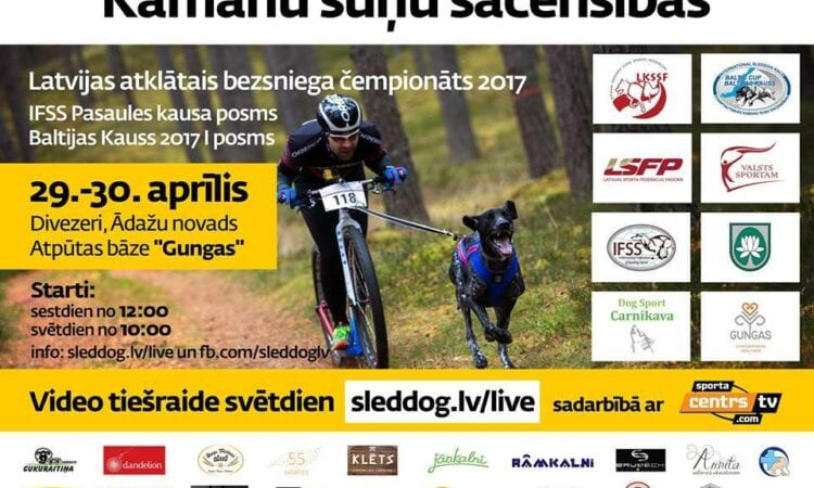 Pasaules kausa posms kamanu suņu sportā - www.sportazinas.com