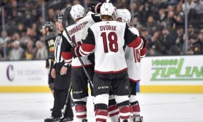 Arizonas Coyotes, Sportazinas.com