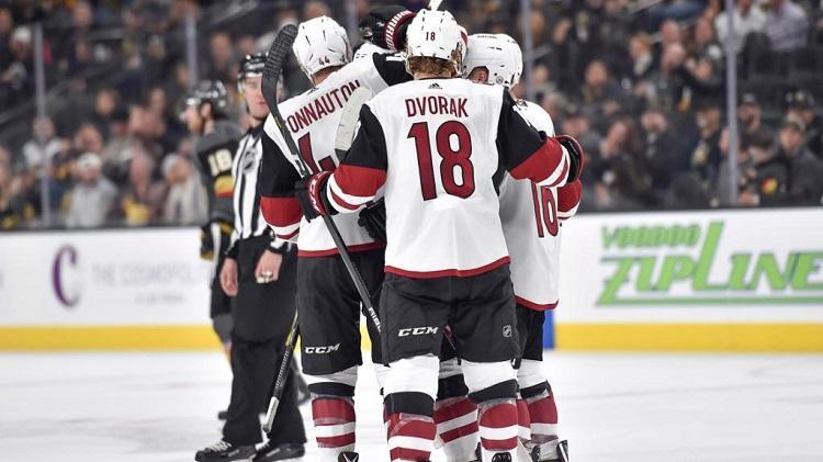 Arizonas Coyotes, Sportazinas.com