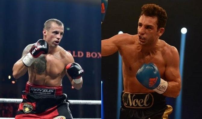 Briedis, Gevors, www.sportazinas.com