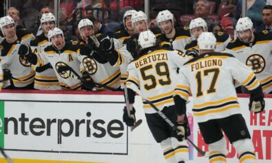 Bostonas Bruins