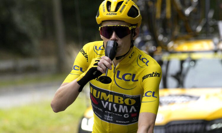 Jonass Vingegords