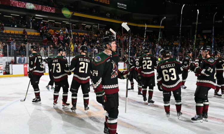 Arizonas Coyotes
