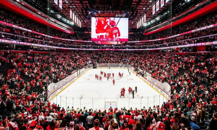 Detroitas Red Wings