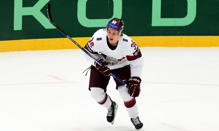 Martins Laviņš