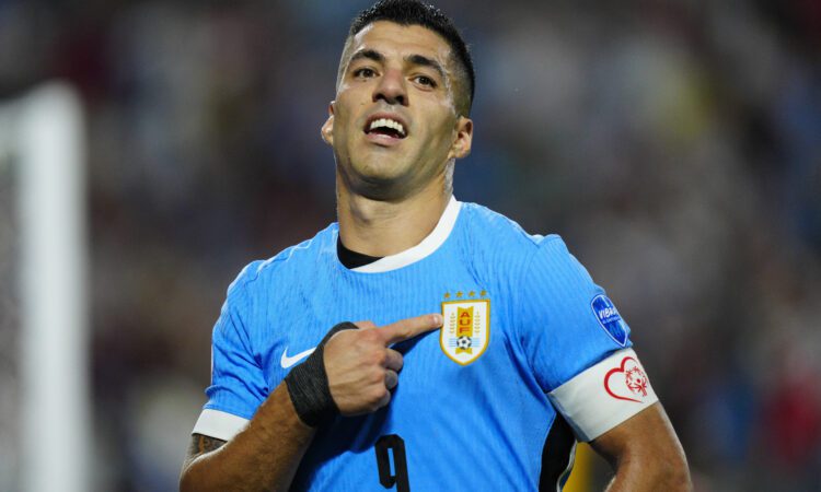Luiss Svaress