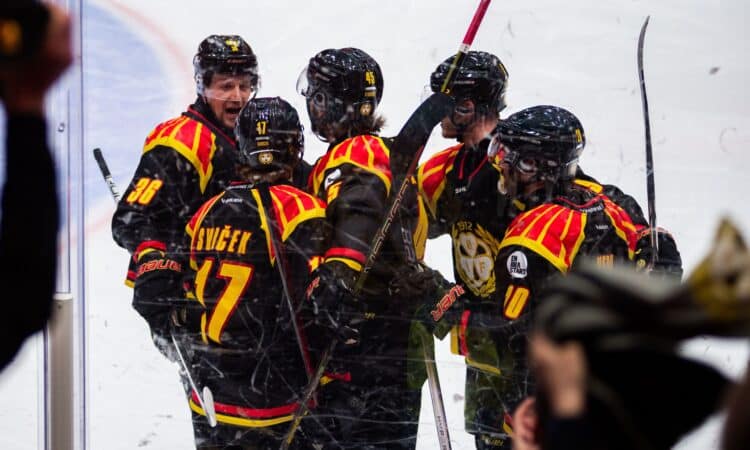 Brynas
