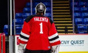 Mihaels Valenta