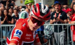 Jonass Vingegords
