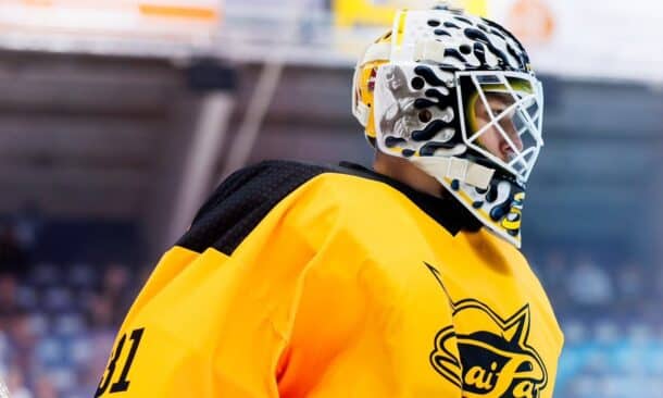 Gustavs Dāvis Grigals