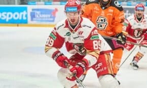 Filips Buncis