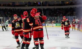 Griffins