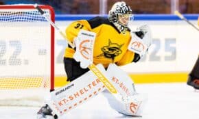 Gustavs Dāvis Grigals