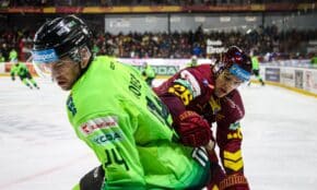 Raimonds Vītoliņš