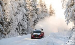 Mārtiņš Sesks/Renārs Francis