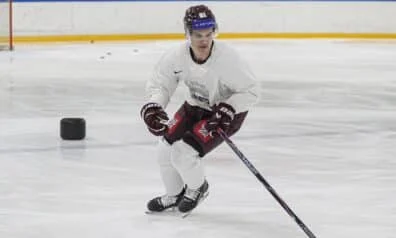 Raimonds Vītoliņš