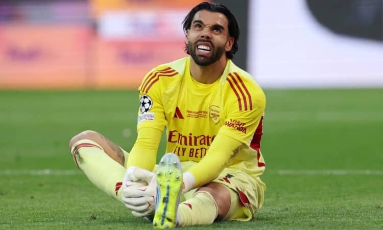 Davids Raja