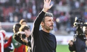Marks van Bommels