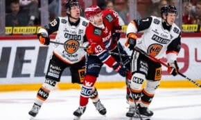 HPK