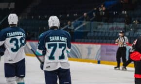 Deivids Sarkanis