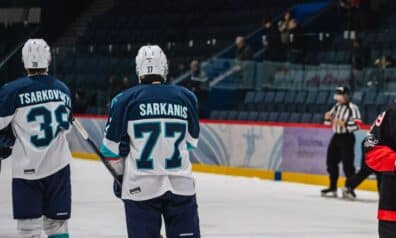 Deivids Sarkanis